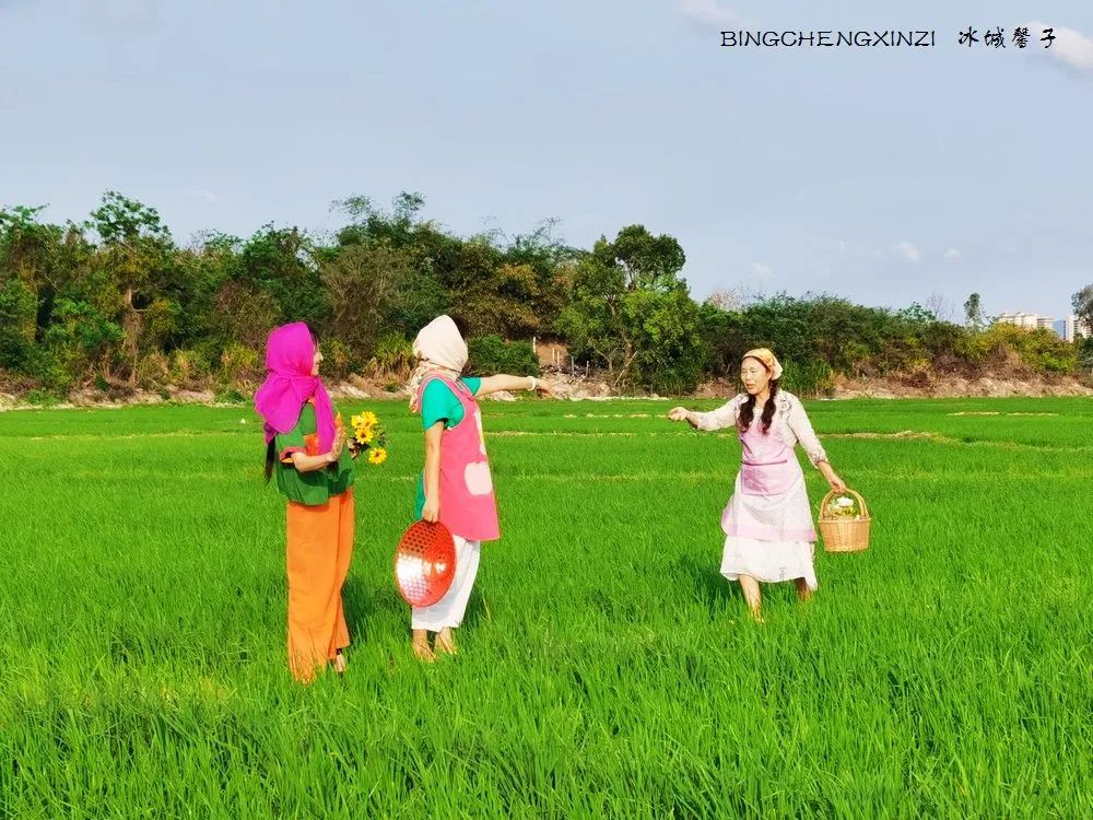 做把“村姑”,走进海南灯火灿烂的火龙果园