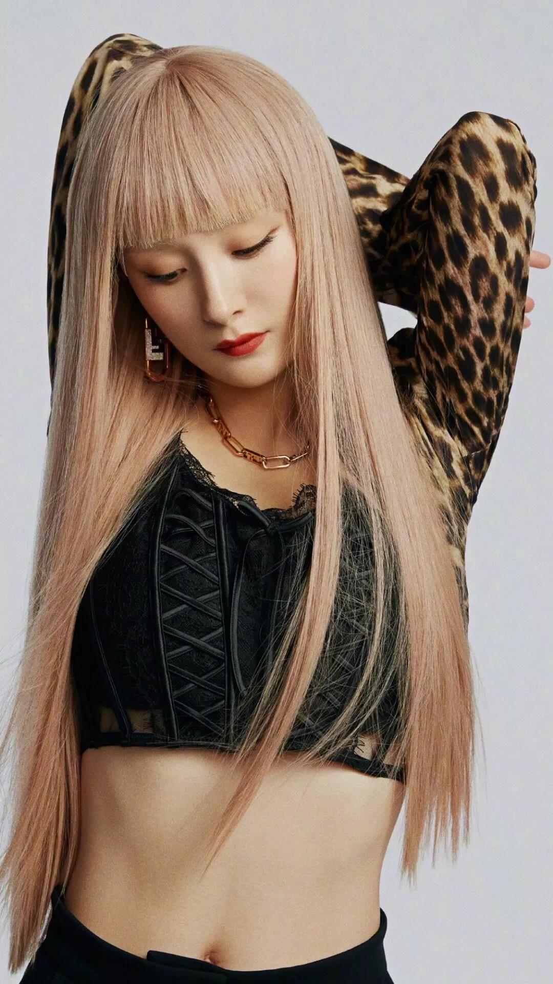 手机壁纸超清全面屏可爱猫,手机壁纸超清全屏2023最好看