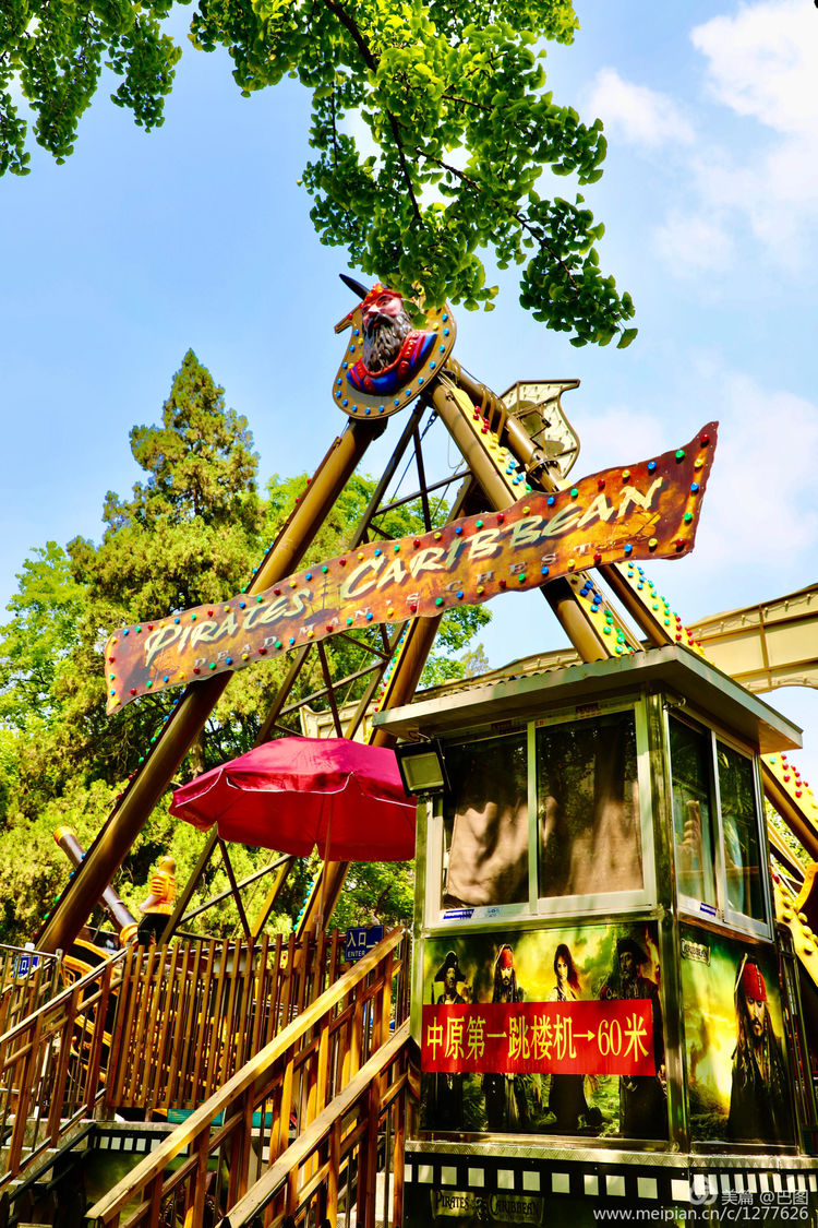 看洛阳牡丹花卉节,洛阳古都牡丹花展