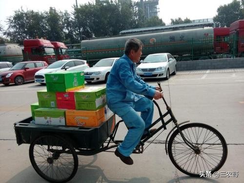 利润很吓人10个冷门农村创业项目,农村低成本创业项目小本生意投资