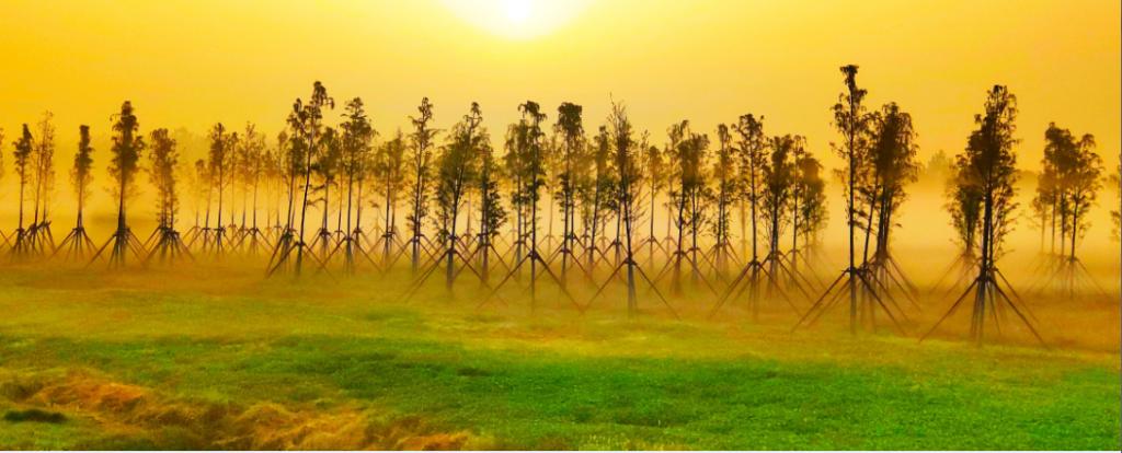 武汉黄陂武湖风景,武汉东西湖区醉美西湖