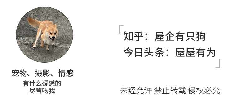 狗粮配方你选对了吗？三分钟教你看懂买狗粮应该怎么选