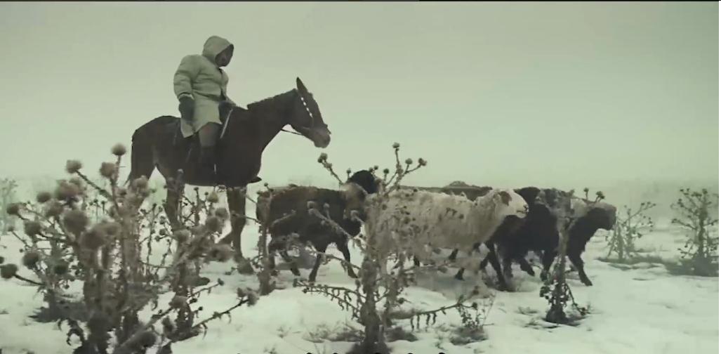 75岁老头被狼群追杀徒手大战狼群,放羊老汉遭遇狼群