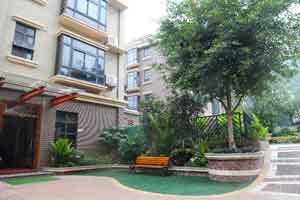 广东艺术纳入中考成绩是真的吗,2020年中考广东艺术