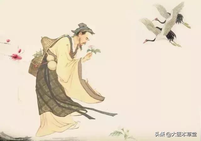 李时珍神奇的单味艾叶方,值得收藏学习!