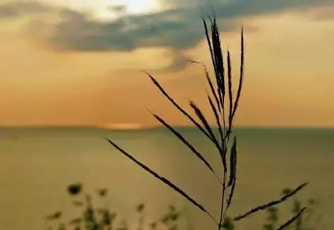 6月涠洲岛自由行,4月中去涠洲岛合适吗