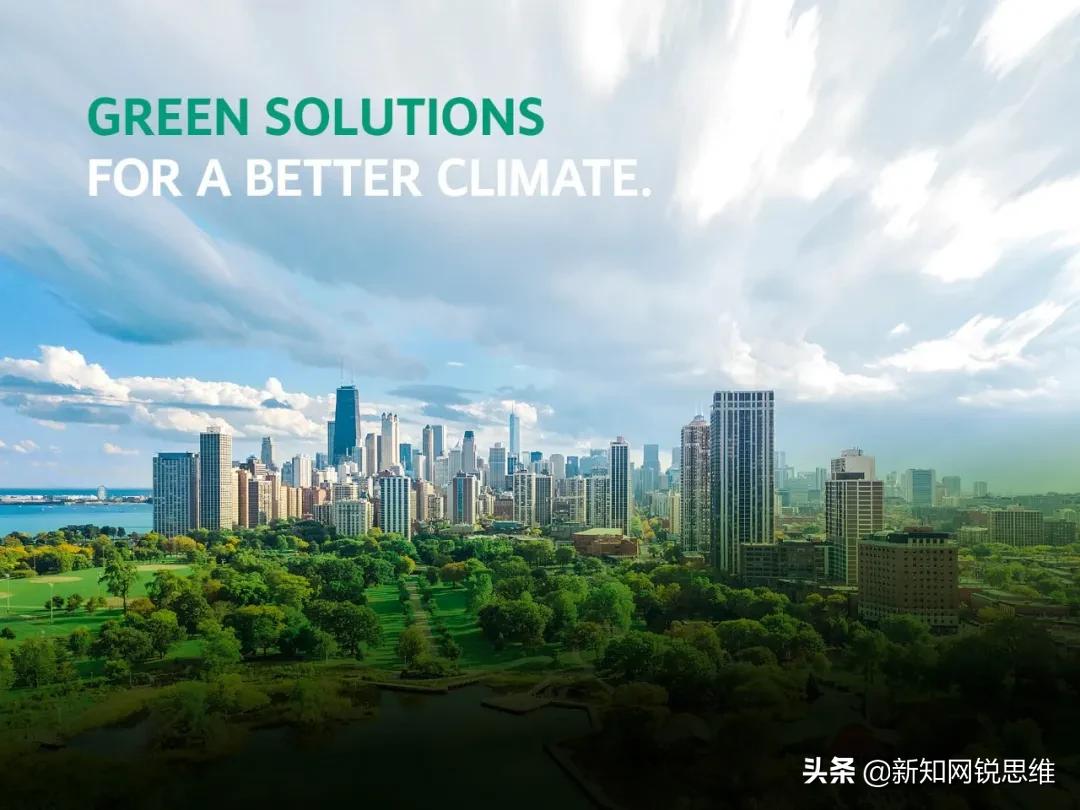 威乐2015年,2015年威乐