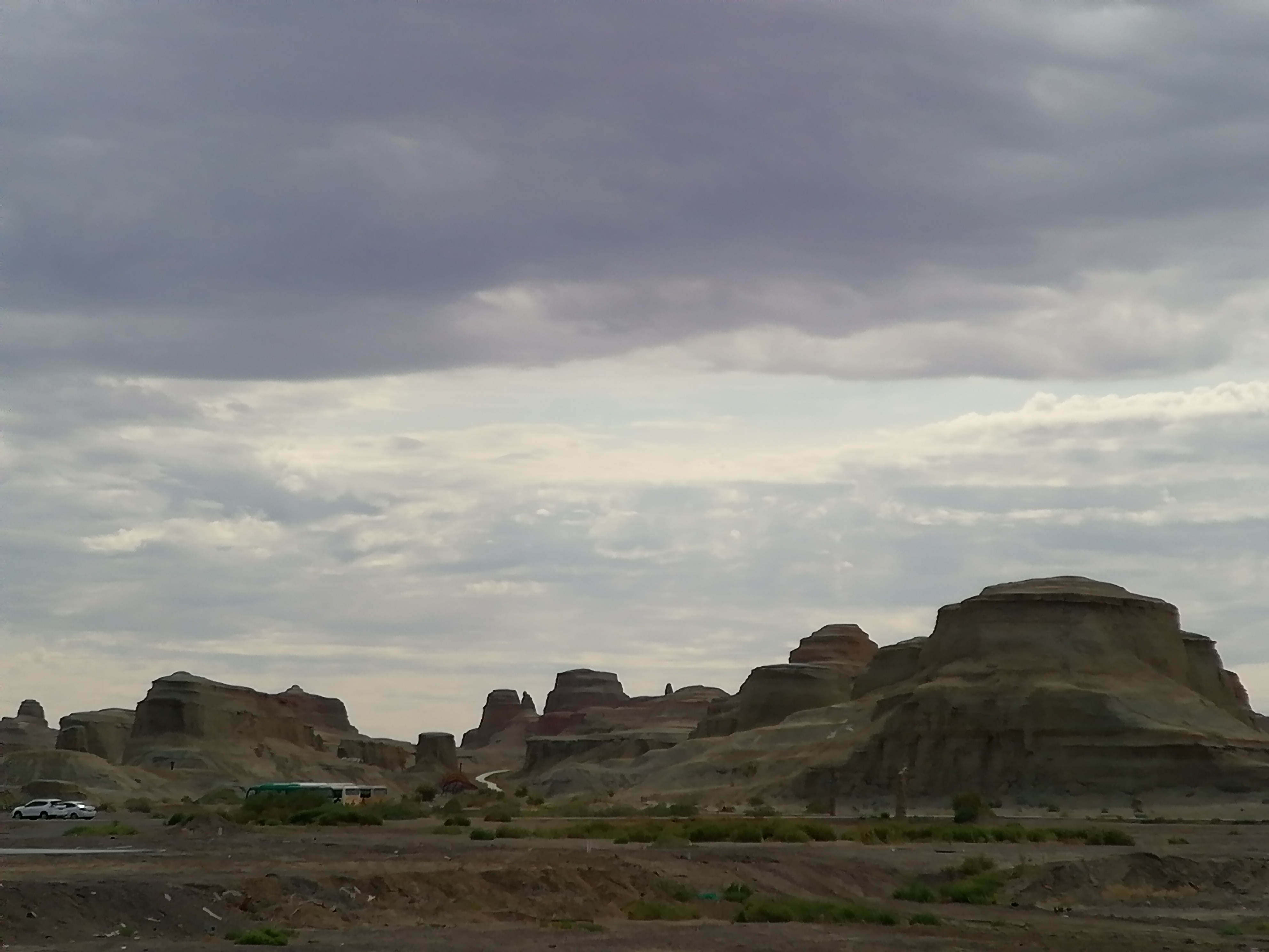 带狗自驾新疆注意事项,想带狗狗去新疆