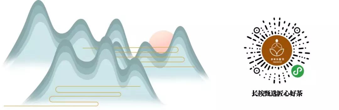 普洱茶的冲泡方法,普洱茶的功效与作用对胃有害吗