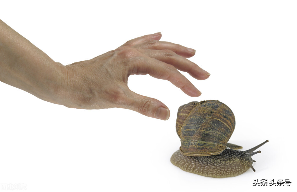 蜗牛护肤品都有修护作用吗,蜗牛的护肤品怎么这么便宜