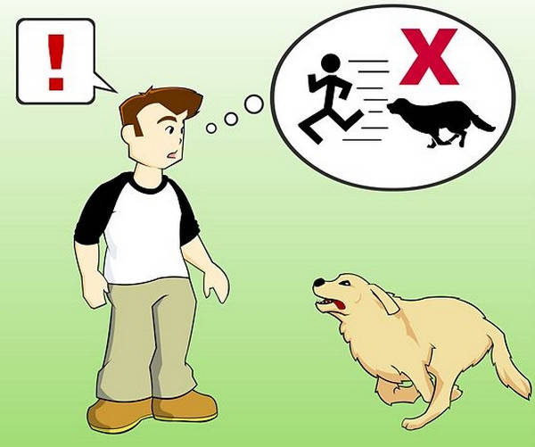 遇到恶狗袭击该怎么办,遭遇恶狗袭击不能以暴制暴