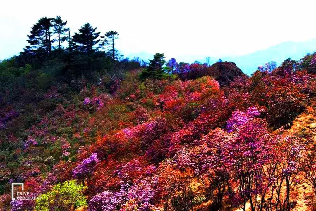 大别山马丁公路路线详细介绍,最美公路马丁公路自驾游