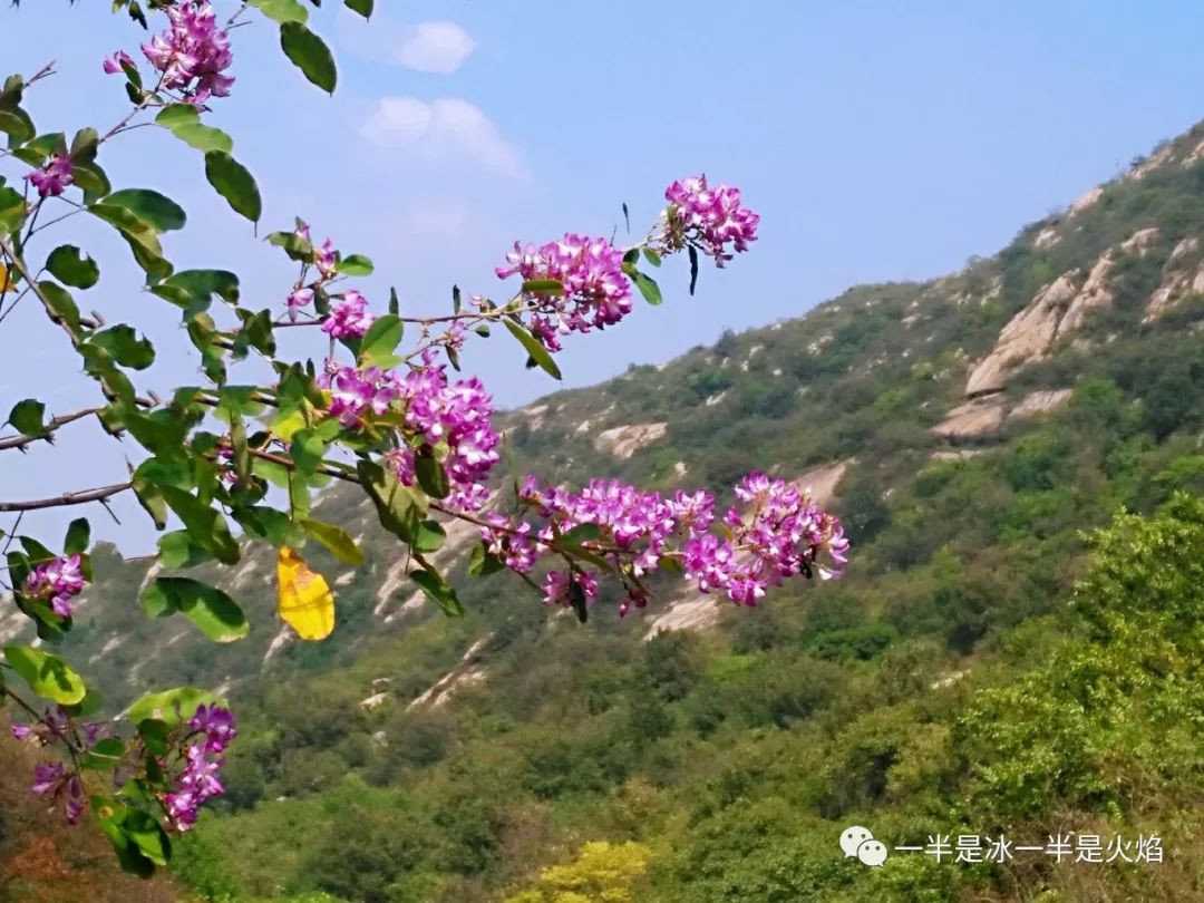 散文诗古诗词,散文诗深秋之韵