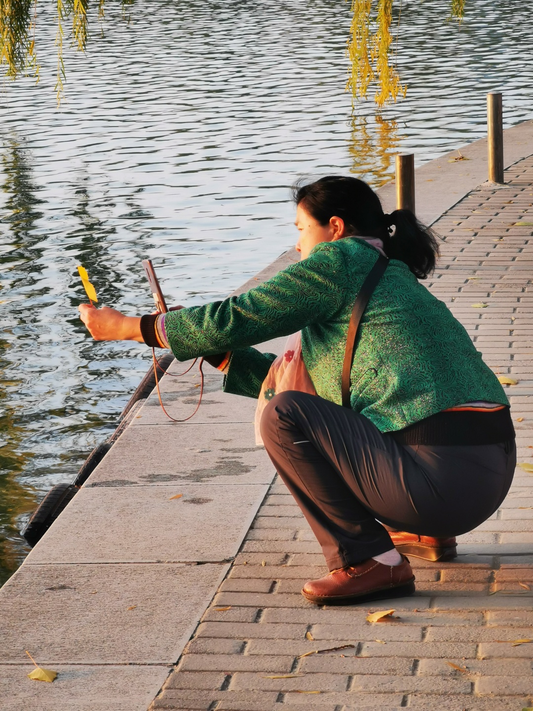 秋天如何拍摄好看的秋叶,秋天里的一片红叶