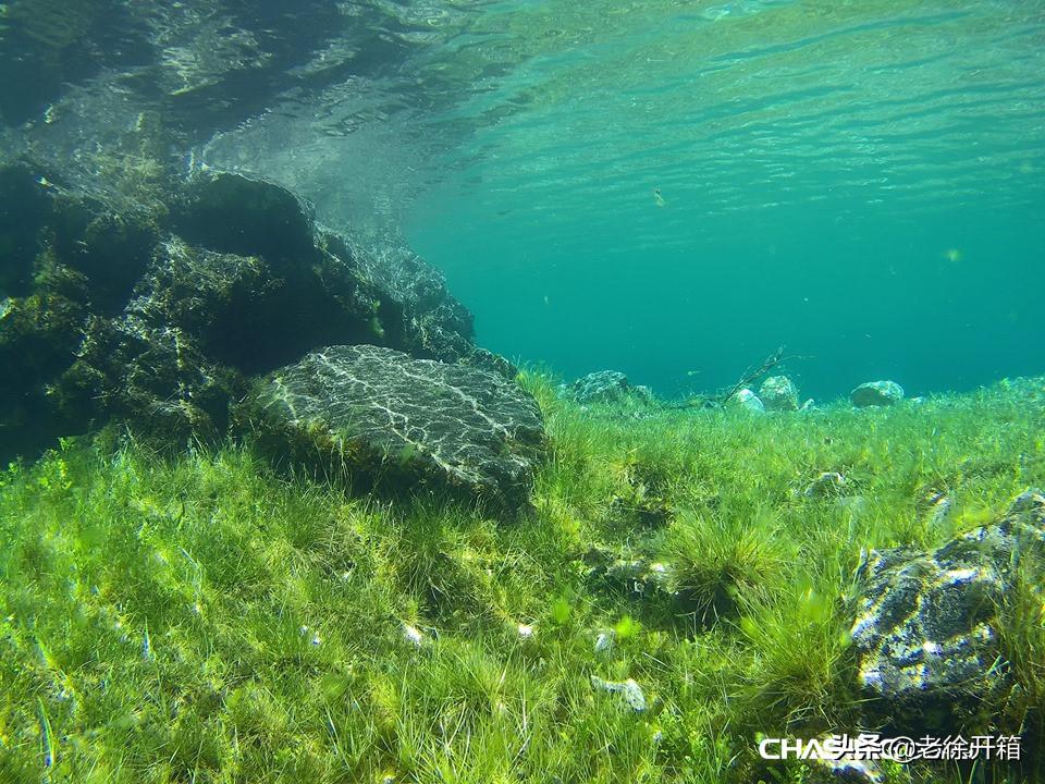 潜行多睿深度评测,老徐开箱读心术
