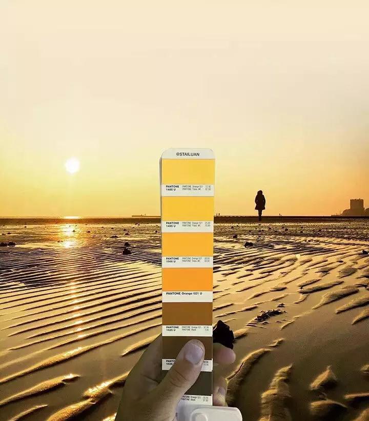 预定今年大火的“奶酪色”！这个“奶酪陷阱”你会跳吗？