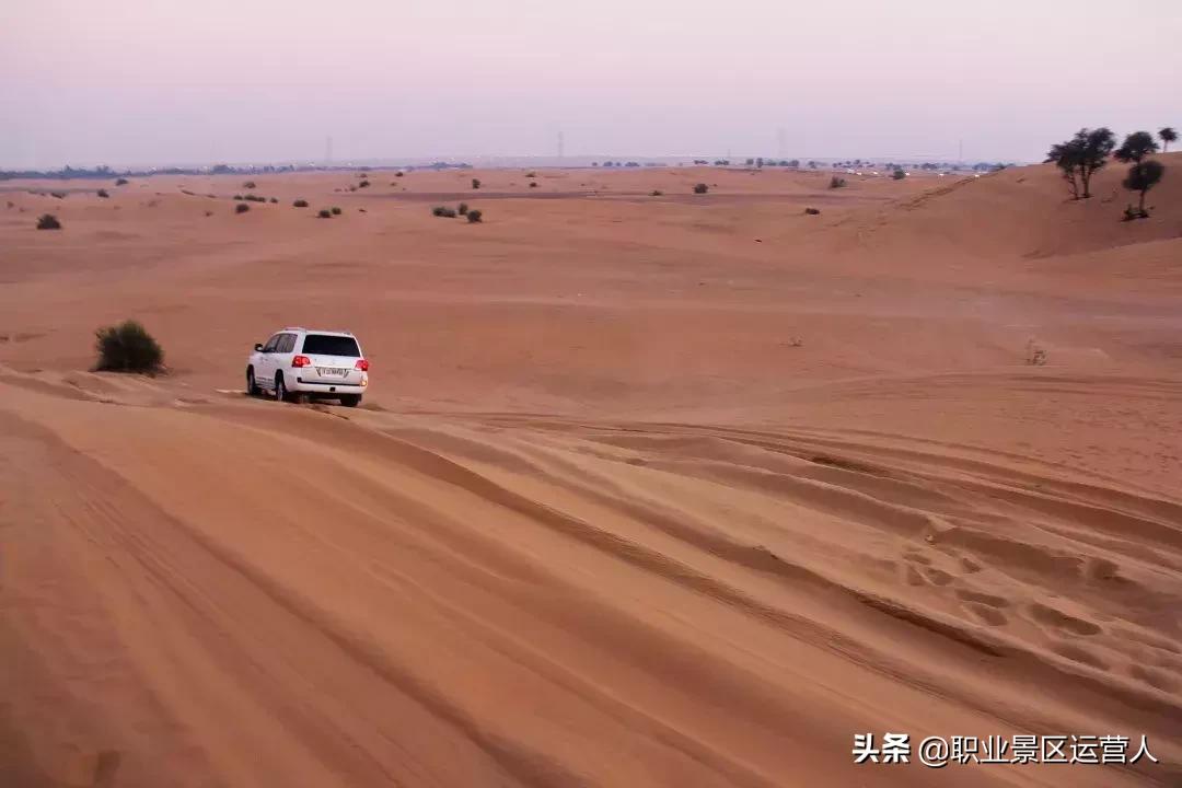 2019的旅游业会如何变化,24年旅游业的现状与前景