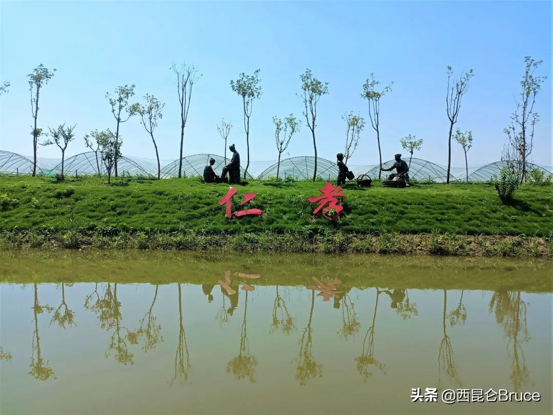 为什么会出现在江苏？2亿年前的仙女虾，到底有什么价值呢