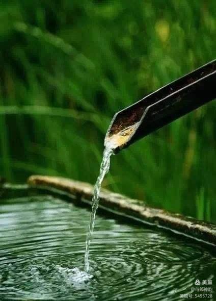 情爱禅语,佛家经典禅语