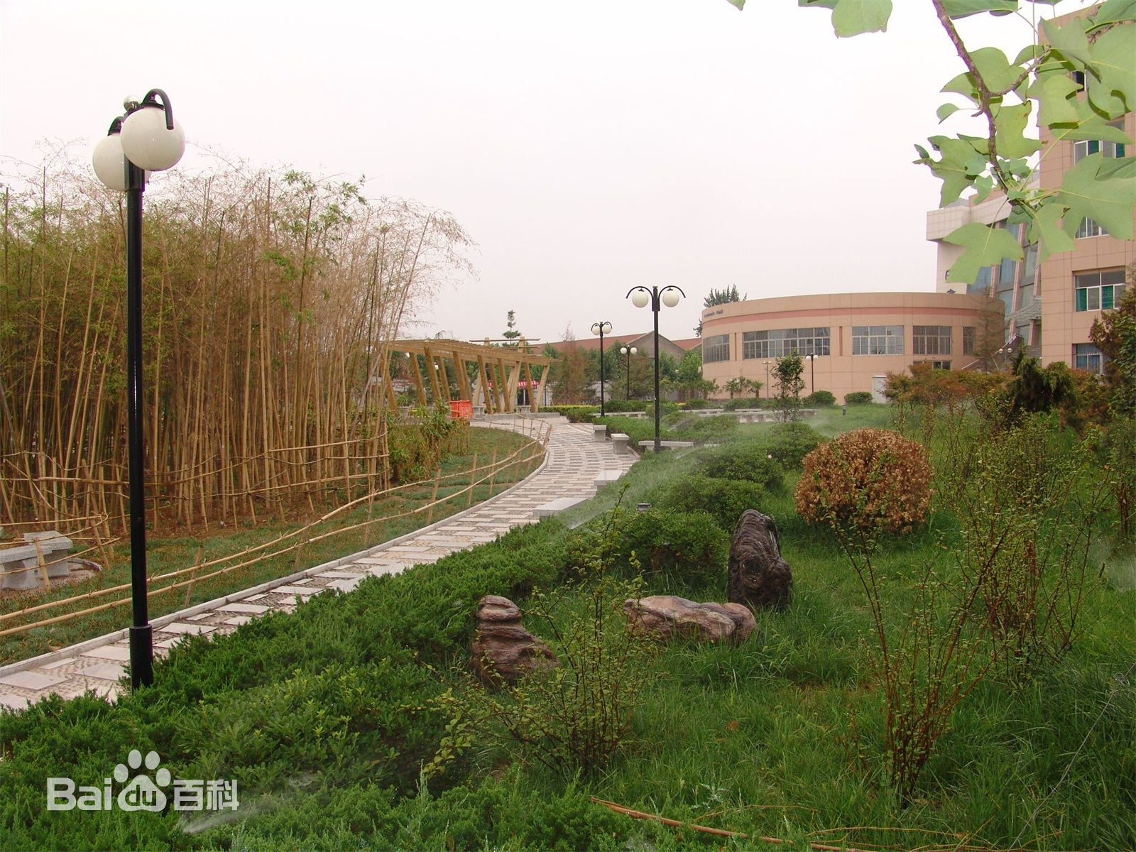 中原工学院市场营销专业排名,南京工程学院市场营销专业排名