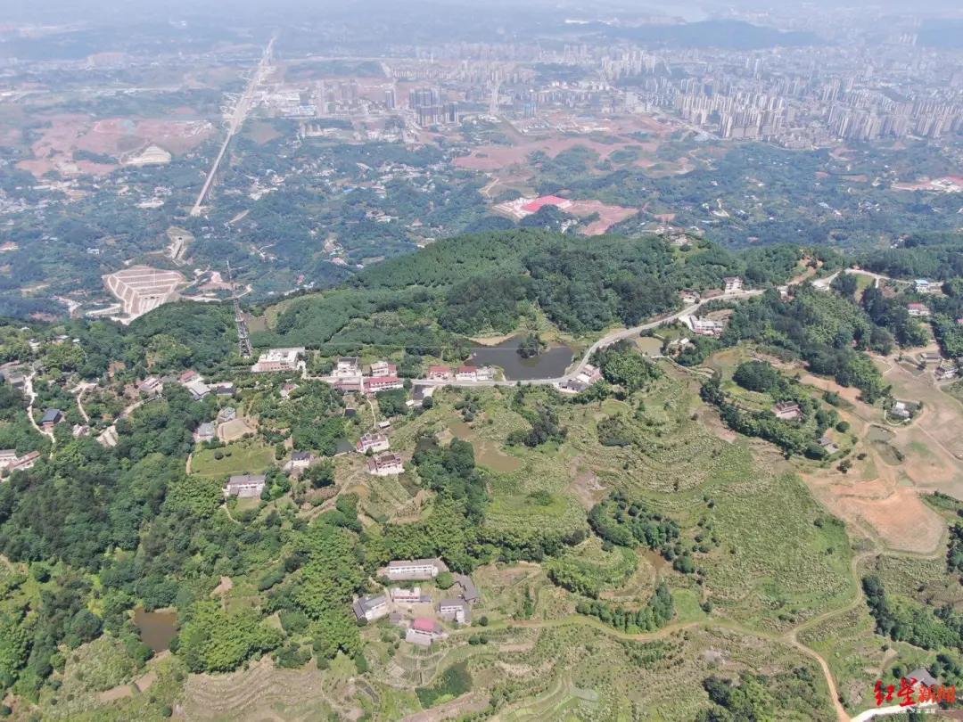 四川宜宾性侵学生案,14岁少年性侵杀害表姐案