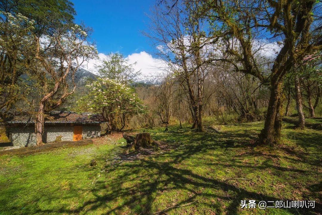 鎶婇鏅粰甯﹁蛋,鎶婂ス甯﹁蛋