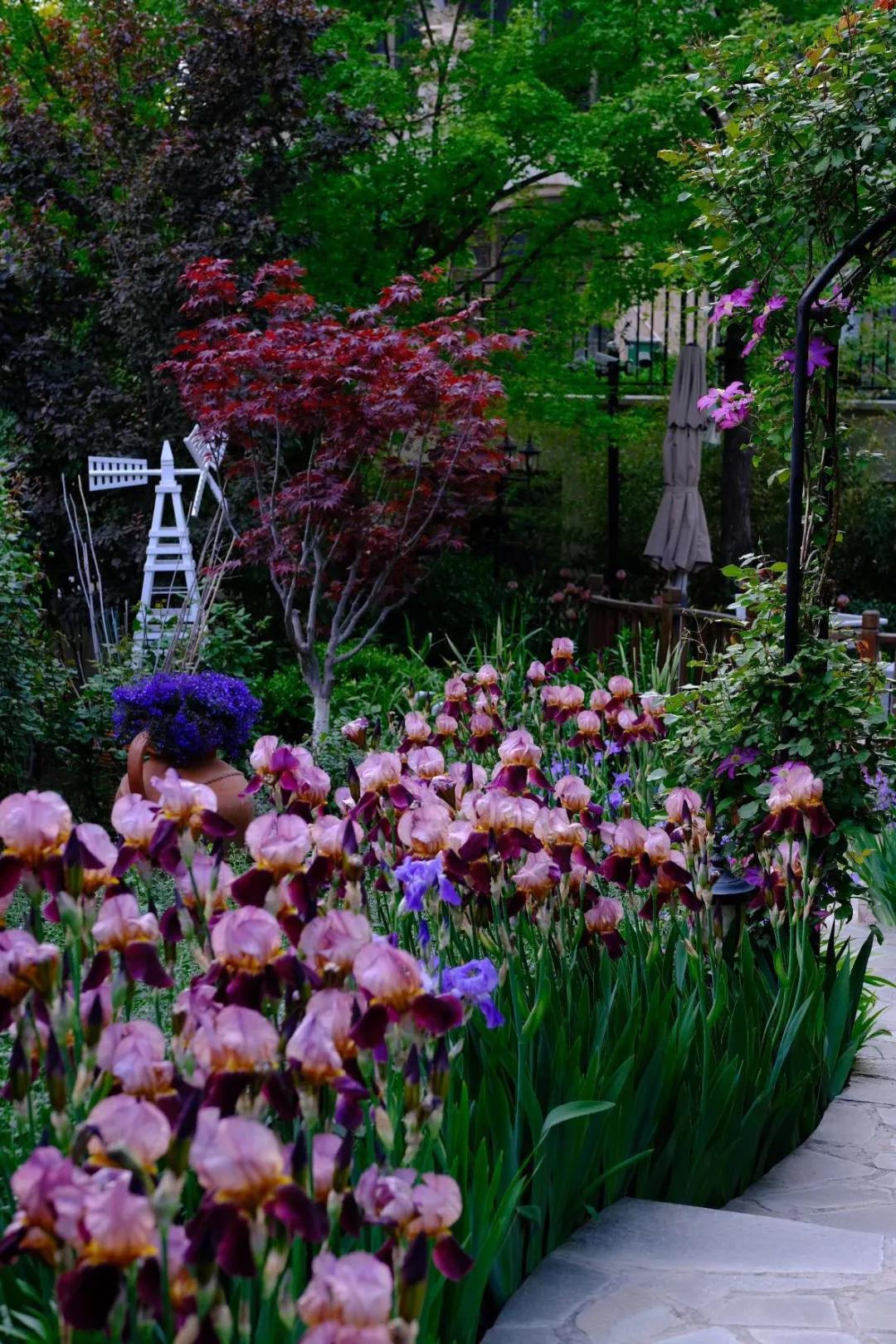 东北花园四季开花植物,北方一年四季都开花的花园