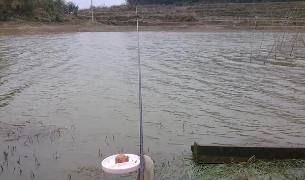 无漂闷竿钓法技巧,闷竿钓法如何提高灵敏度