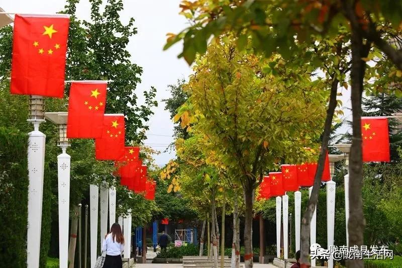 我叫成县，这是我2019年的自拍照