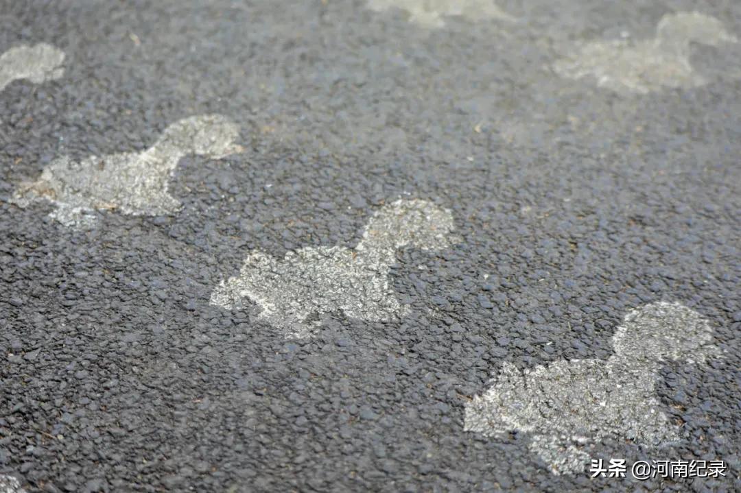 120个美丽乡村柘城入选,河南柘城县最美乡村