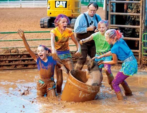 猪年说猪,猪年趣谈猪