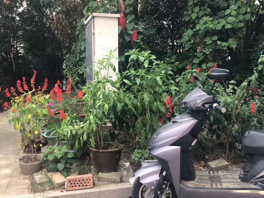 盐城什么房子不能买,现在盐城房子还能不能买