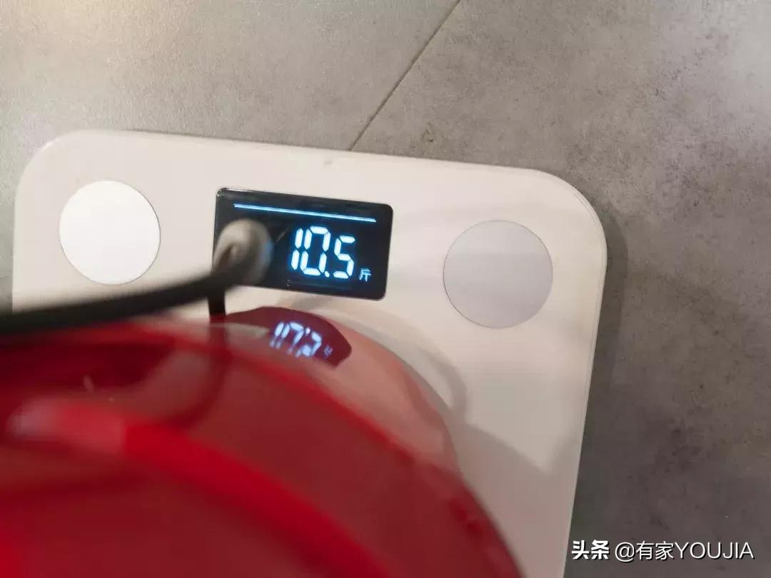 洗碗机和垃圾处理器有必要吗,垃圾处理器需要买品牌吗