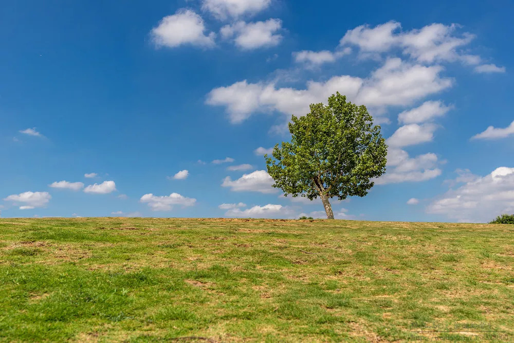 南京亚洲第一大体育场,江苏省第一座体育场