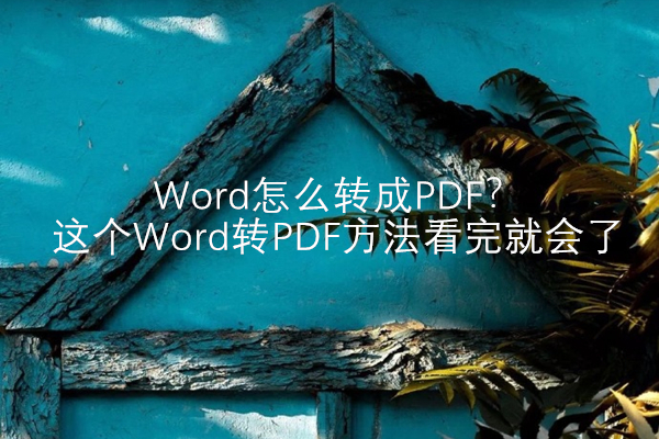 word转pdf并在pdf里做书签,word导出pdf和另存为pdf区别