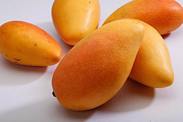 价格差距大的水果有哪些,日本最廉价的水果是什么