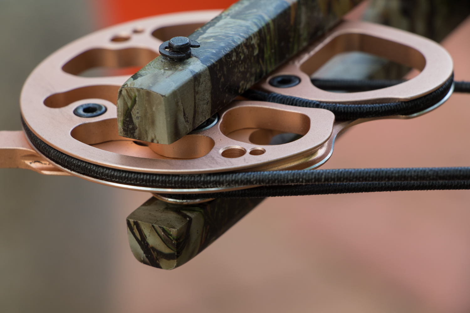 初学摄影入门相机推荐,初学摄影怎么选择全画幅单反相机