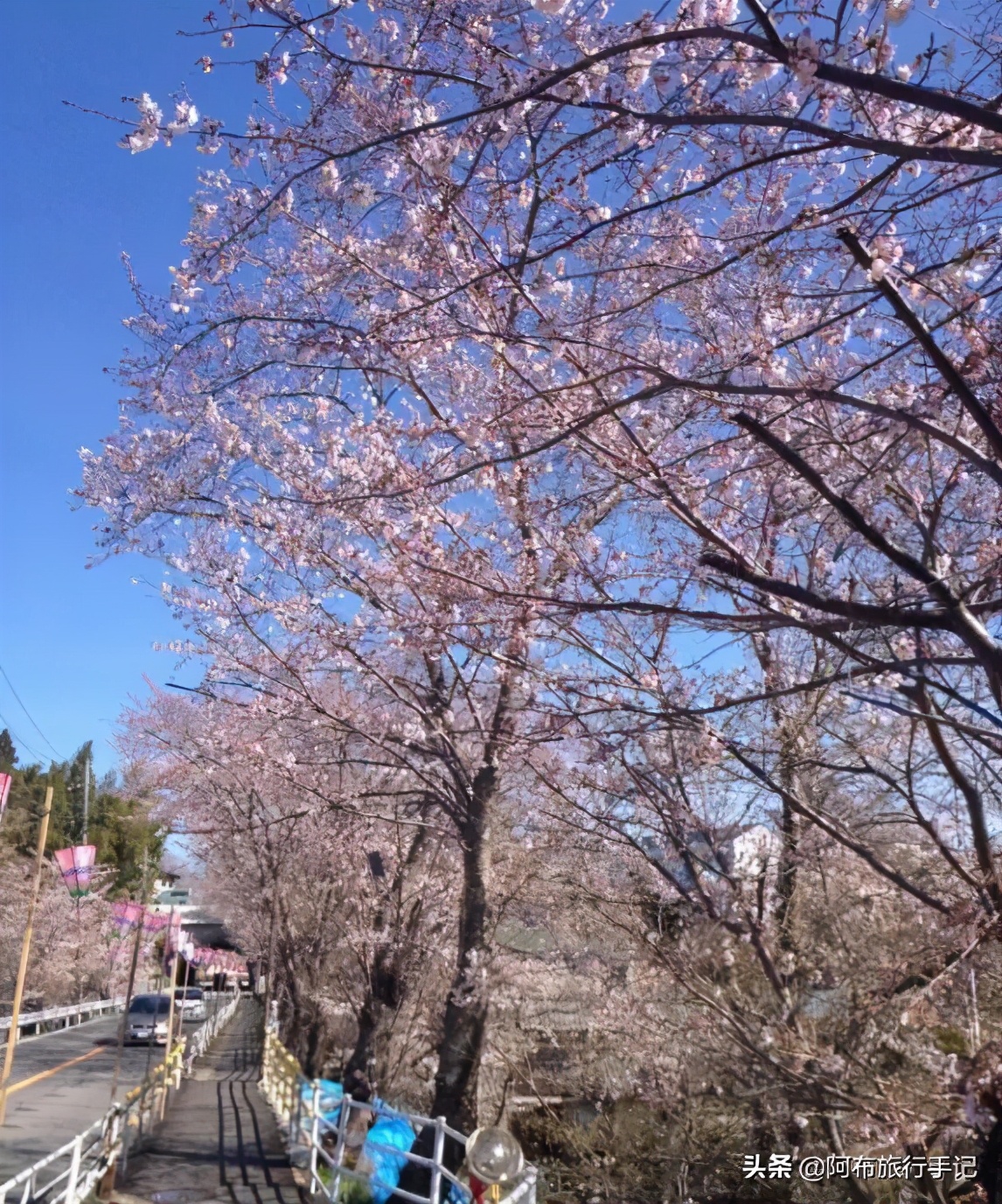 成田机场对比羽田机场,成田机场和羽田机场有什么不一样