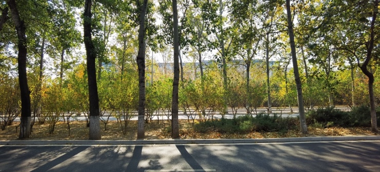 温阳路地铁站地图,温阳路地铁