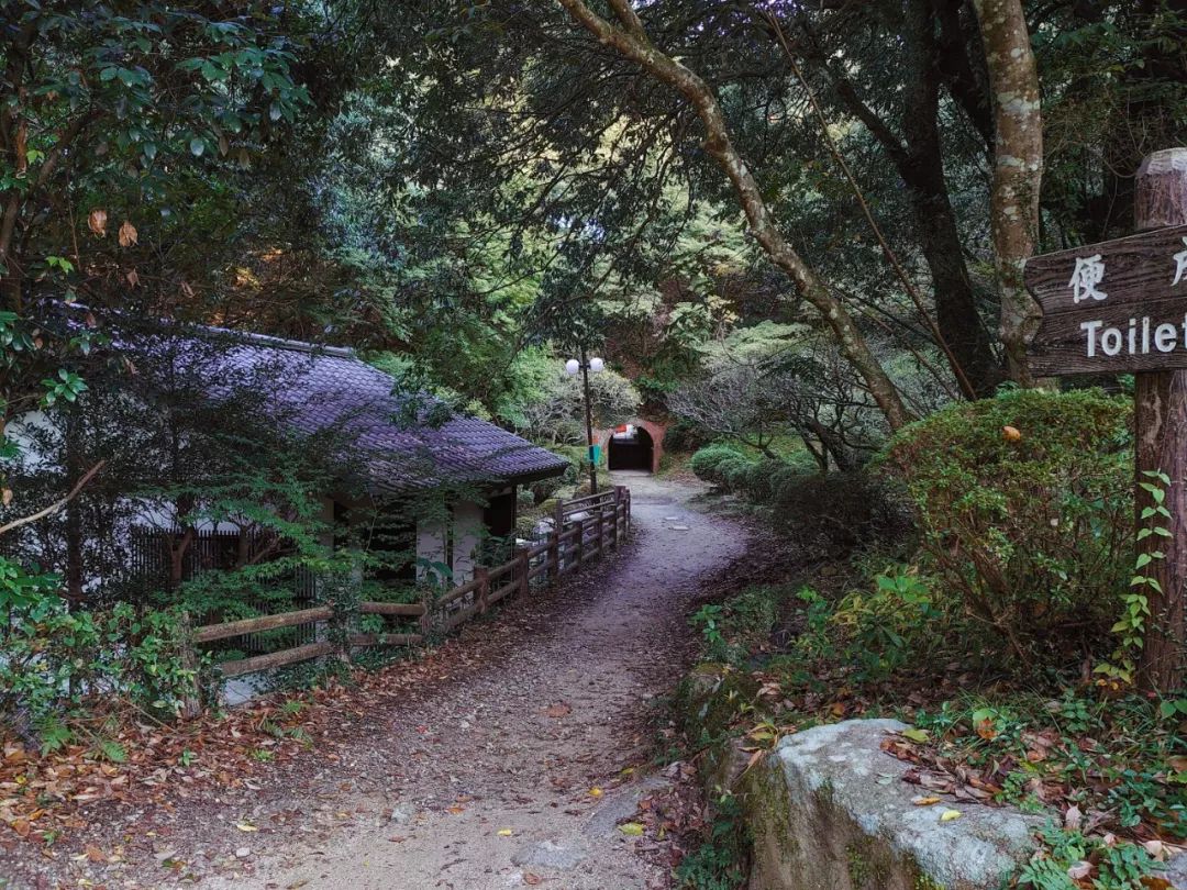 绱㈠凹xperia1鍦ㄦ棩鏈殑鍞环,绱㈠凹xperia1鏃ユ湰