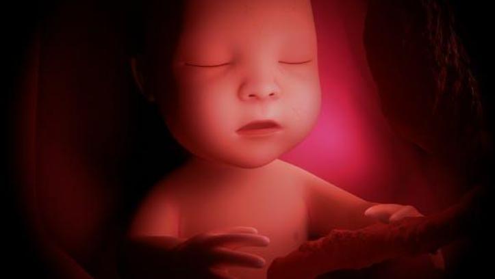 孕肚一跳一跳的是什么原因,孕肚一阵阵动是什么情况