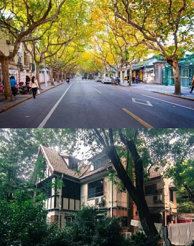 上海弄堂旅游景点,上海值得去的老弄堂在哪
