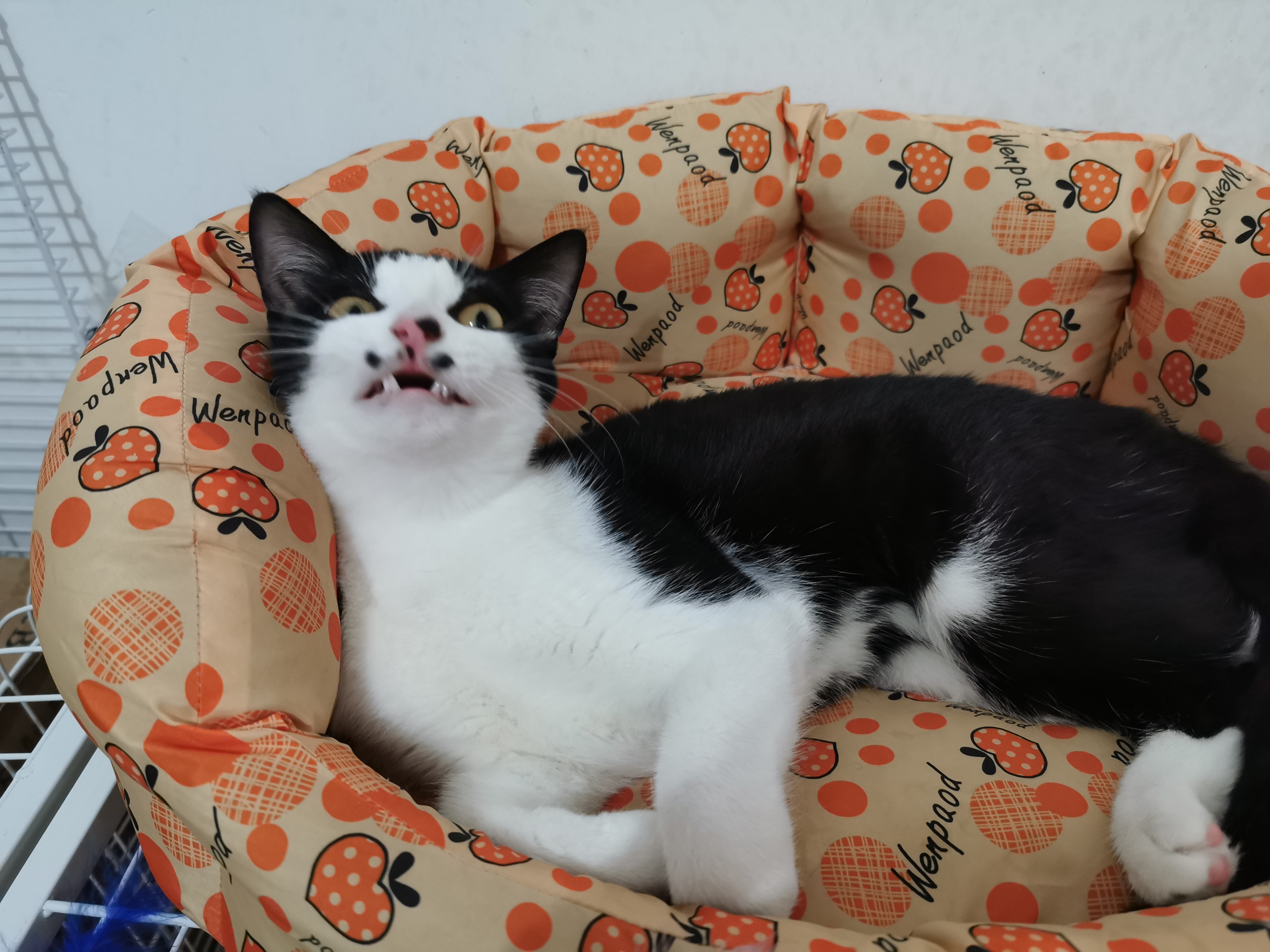 下雨天了我好想你歌词,下雨天了怎么办我好想你原版