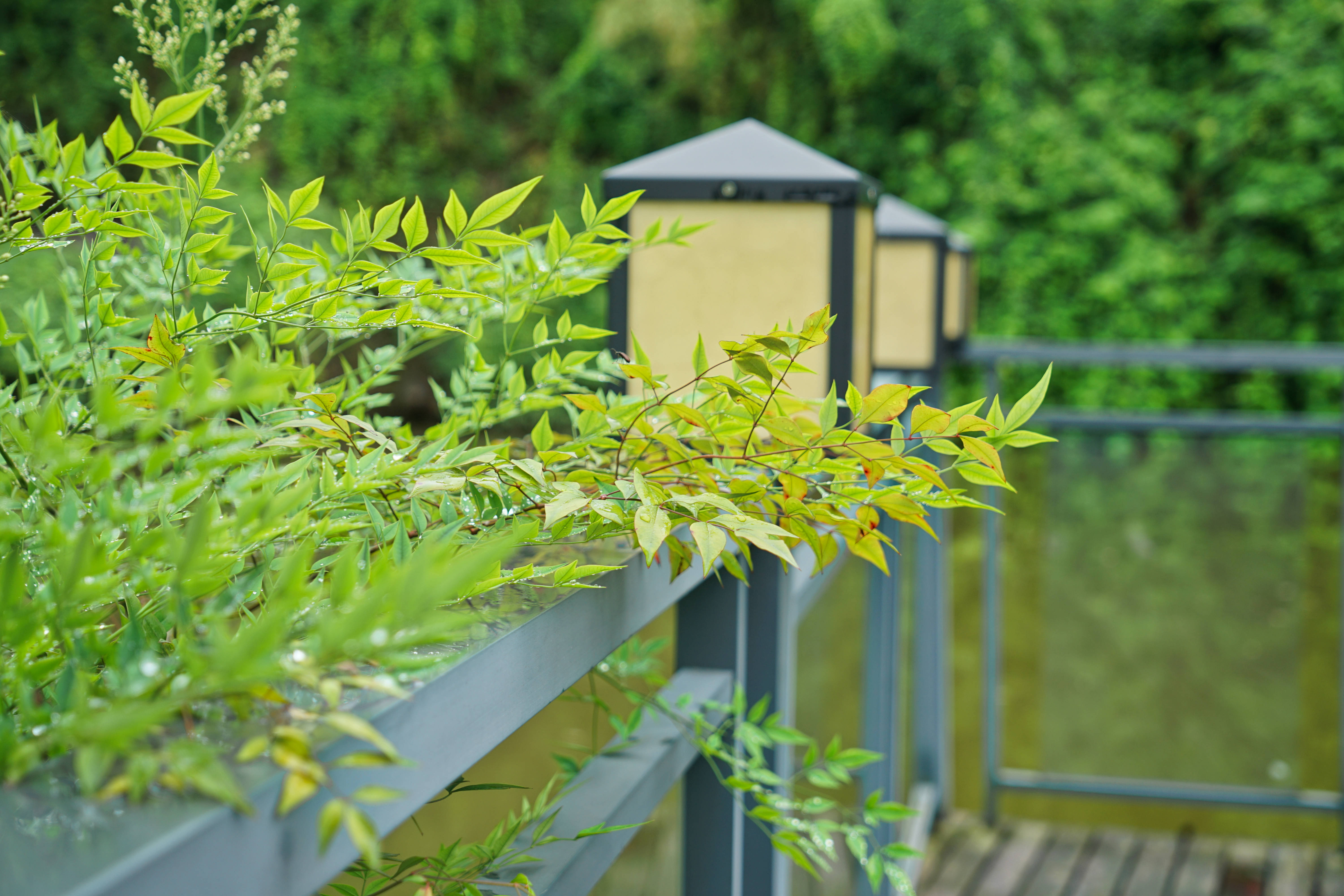 重庆周边山区哪里有温泉,重庆周边泡温泉一日游最佳景点