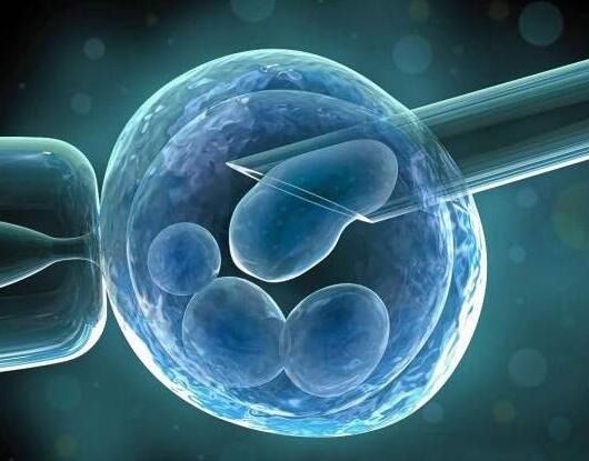 试管婴儿怎么和医生沟通,第一次咨询试管婴儿问什么