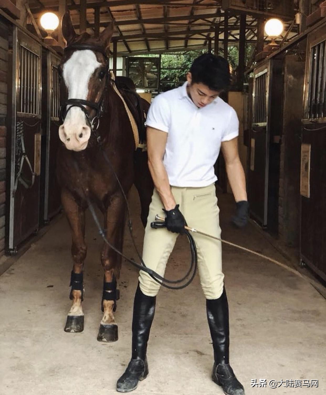 最帅马术王子,马术帅男