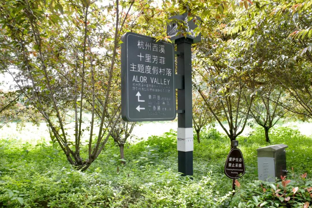 西溪湿地国家公园最近有什么节目,杭州西溪湿地附近大火