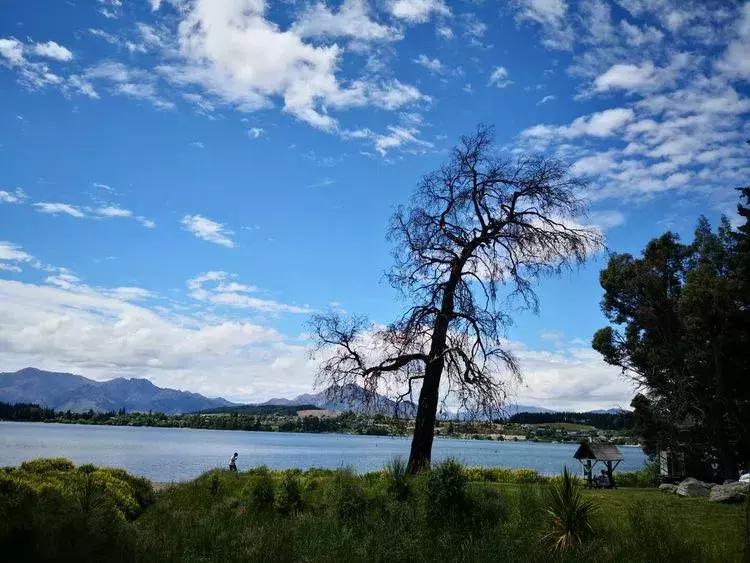 新西兰南岛有哪些城镇的湖,新西兰姊妹湖在哪里