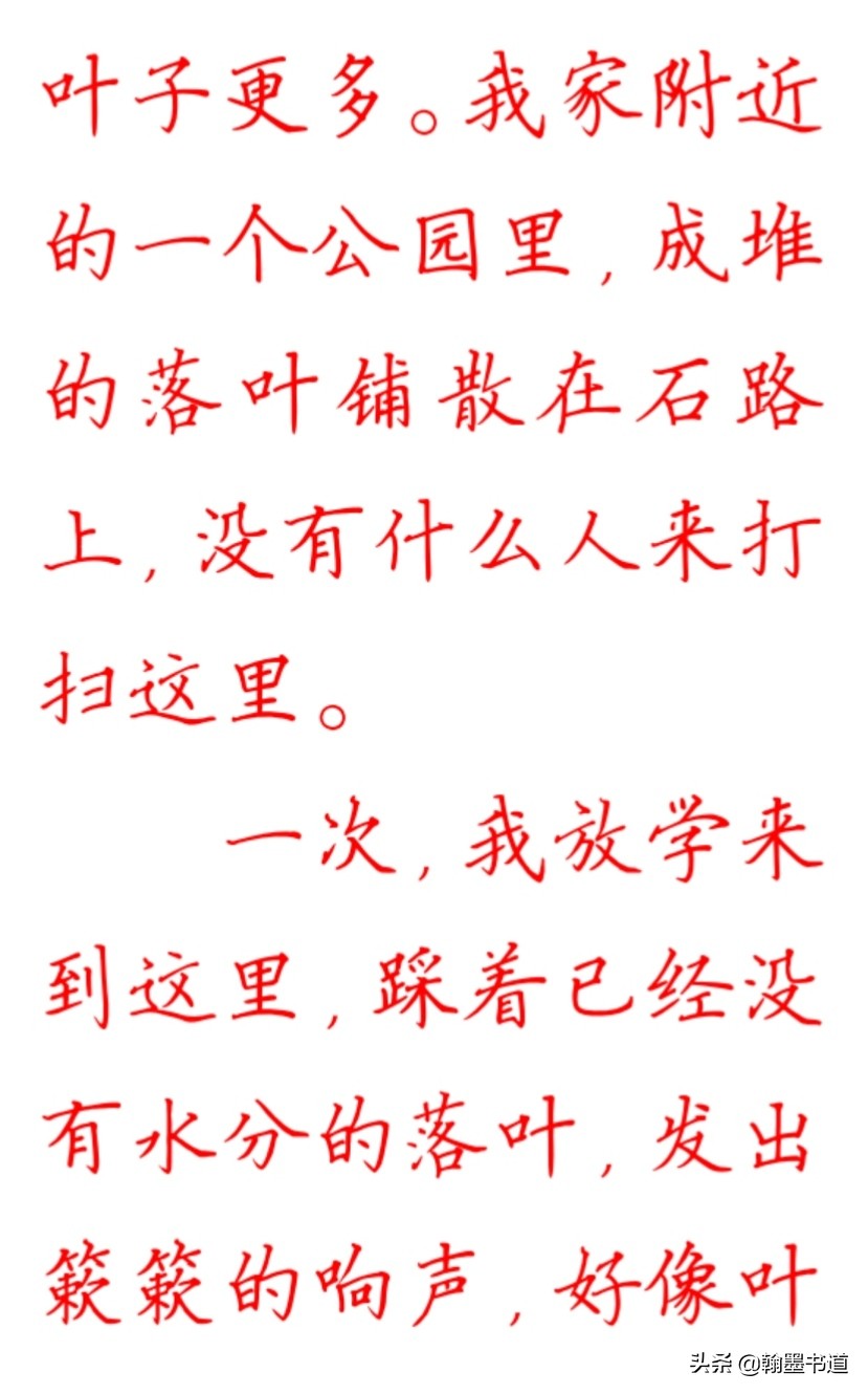 徐志摩散文落叶读后感,徐志摩的散文落叶经典图片