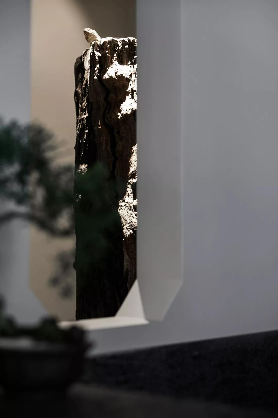 墨香茶韵作品,墨香茶韵